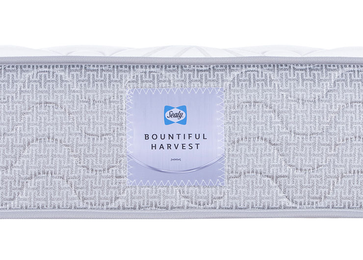 1_0001_dsc6255 拷贝